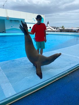 南知多ビーチランド＆南知多おもちゃ王国に投稿された画像（2021/8/9）