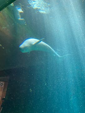 南知多ビーチランド＆南知多おもちゃ王国に投稿された画像（2021/8/9）