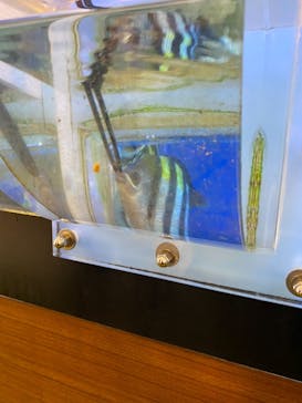 南知多ビーチランド＆南知多おもちゃ王国に投稿された画像（2021/8/9）