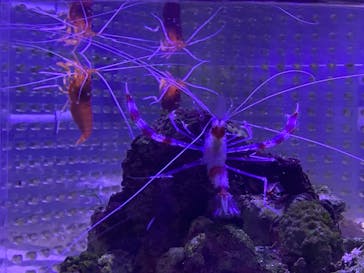 南知多ビーチランド＆南知多おもちゃ王国に投稿された画像（2021/8/9）