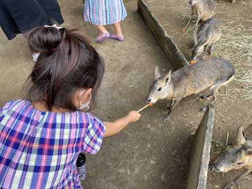 群馬サファリパークに投稿された画像（2021/8/9）