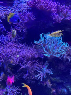 名古屋港水族館に投稿された画像（2021/8/9）