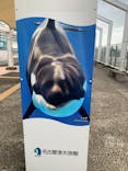 名古屋港水族館に投稿された画像（2021/8/9）