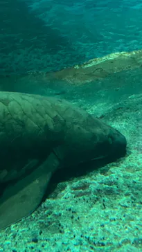 名古屋港水族館に投稿された画像（2021/8/9）
