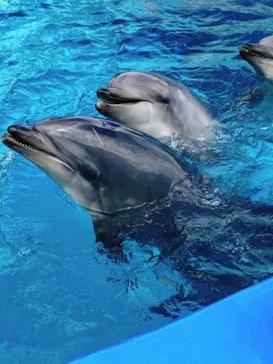 名古屋港水族館に投稿された画像（2021/8/9）