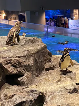 すみだ水族館に投稿された画像（2021/8/9）