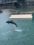 下田海中水族館に投稿された画像（2021/8/9）