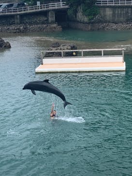 下田海中水族館に投稿された画像（2021/8/9）