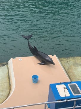 下田海中水族館に投稿された画像（2021/8/9）