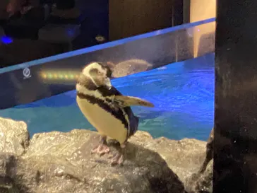 すみだ水族館に投稿された画像（2021/8/9）