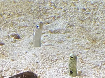 すみだ水族館に投稿された画像（2021/8/9）