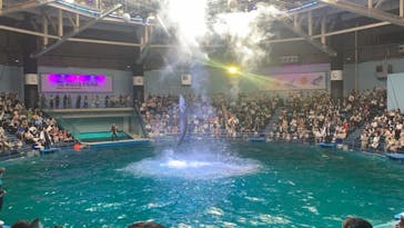 マクセル アクアパーク品川に投稿された画像（2021/8/9）