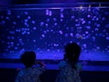 京都水族館に投稿された画像（2021/8/9）