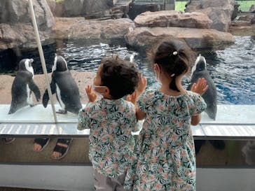 京都水族館に投稿された画像（2021/8/9）