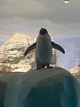 名古屋港水族館に投稿された画像（2021/8/9）