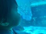 名古屋港水族館に投稿された画像（2021/8/9）
