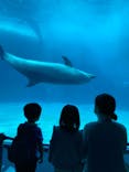 名古屋港水族館に投稿された画像（2021/8/9）