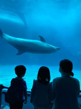名古屋港水族館に投稿された画像（2021/8/9）