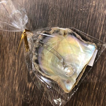 しながわ水族館に投稿された画像（2021/8/9）