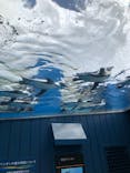 サンシャイン水族館に投稿された画像（2021/8/9）