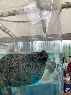 京都水族館に投稿された画像（2021/8/9）
