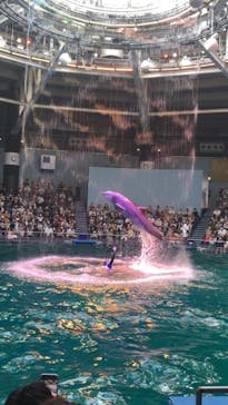 マクセル アクアパーク品川に投稿された画像（2021/8/9）