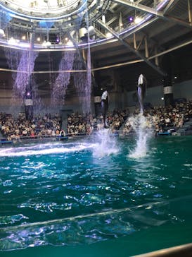 マクセル アクアパーク品川に投稿された画像（2021/8/9）