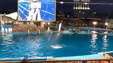 名古屋港水族館に投稿された画像（2021/8/9）