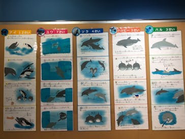 名古屋港水族館に投稿された画像（2021/8/9）