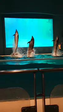 横浜・八景島シーパラダイスに投稿された画像（2021/8/9）