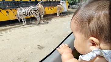 群馬サファリパークに投稿された画像（2021/8/9）