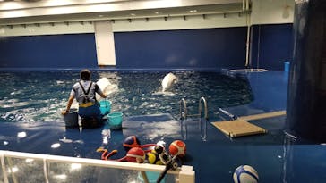 島根県立 しまね海洋館に投稿された画像（2021/8/9）