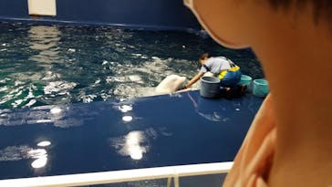 島根県立 しまね海洋館に投稿された画像（2021/8/9）