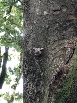 江戸東京たてもの園に投稿された画像（2021/8/9）