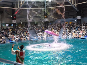 マクセル アクアパーク品川に投稿された画像（2021/8/9）