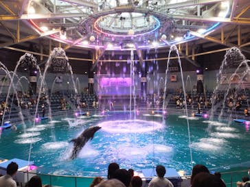 マクセル アクアパーク品川に投稿された画像（2021/8/9）