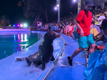 南知多ビーチランド＆南知多おもちゃ王国に投稿された画像（2021/8/9）