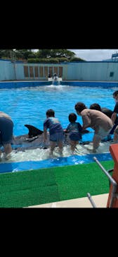 南知多ビーチランド＆南知多おもちゃ王国に投稿された画像（2021/8/9）