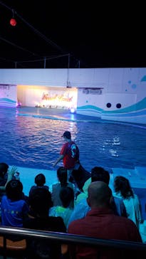 南知多ビーチランド＆南知多おもちゃ王国に投稿された画像（2021/8/9）