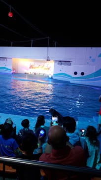 南知多ビーチランド＆南知多おもちゃ王国に投稿された画像（2021/8/9）