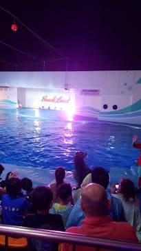 南知多ビーチランド＆南知多おもちゃ王国に投稿された画像（2021/8/9）