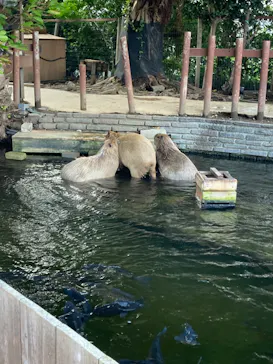 横浜・八景島シーパラダイスに投稿された画像（2021/8/9）