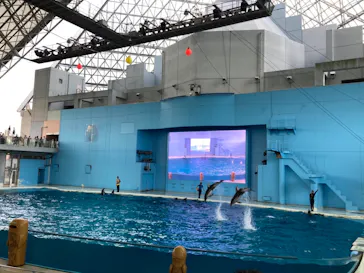 横浜・八景島シーパラダイスに投稿された画像（2021/8/9）