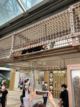 横浜・八景島シーパラダイスに投稿された画像（2021/8/9）