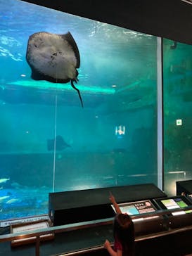 南知多ビーチランド＆南知多おもちゃ王国に投稿された画像（2021/8/9）