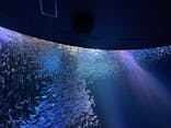 名古屋港水族館に投稿された画像（2021/8/9）