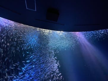 名古屋港水族館に投稿された画像（2021/8/9）