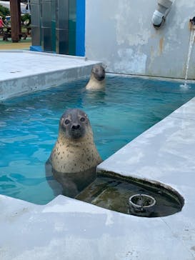 南知多ビーチランド＆南知多おもちゃ王国に投稿された画像（2021/8/9）