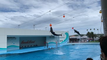 南知多ビーチランド＆南知多おもちゃ王国に投稿された画像（2021/8/9）