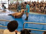 鳥羽水族館に投稿された画像（2021/8/9）